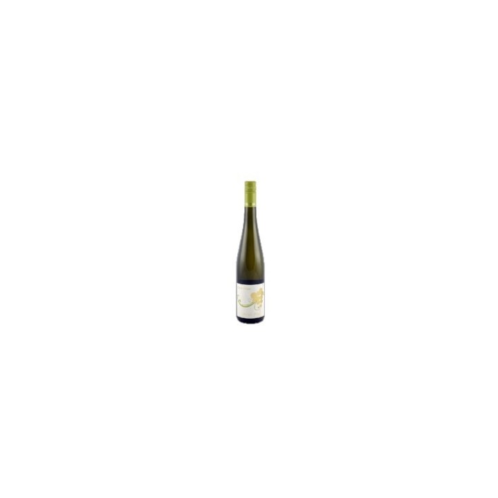 Cabernet Blanc 2021 Côteaux de