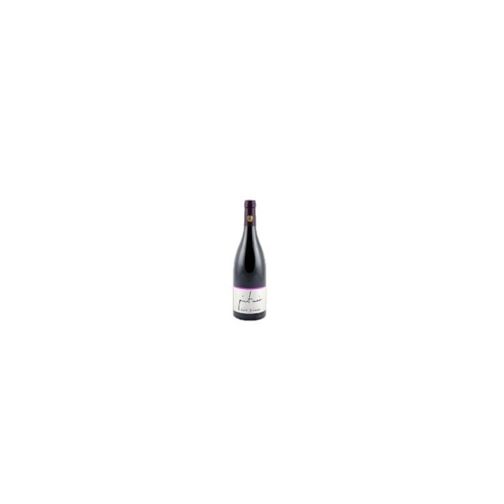 Pinot Noir Ehnen Kelterberg 2022