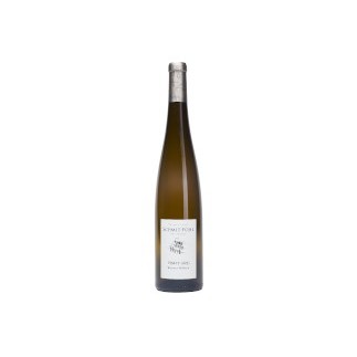 Pinot Gris Wormer Wäibour 2024