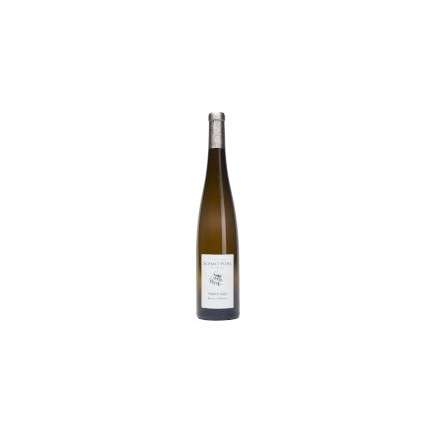 Pinot Gris Wormer Wäibour 2024
