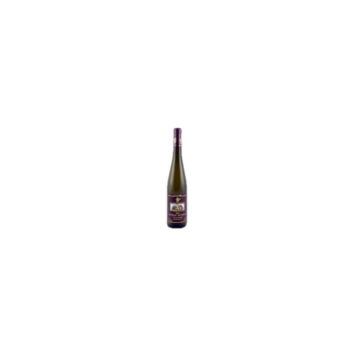 Muscat Ottonel Côtes de Machtum 2022