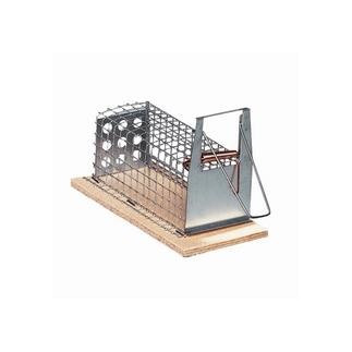 Drahtkastenfalle mit 1 Einlauf