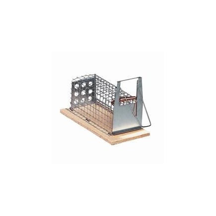 Drahtkastenfalle mit 1 Einlauf