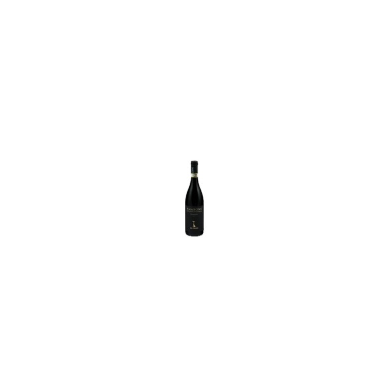 Amarone della Valpolicella 2019