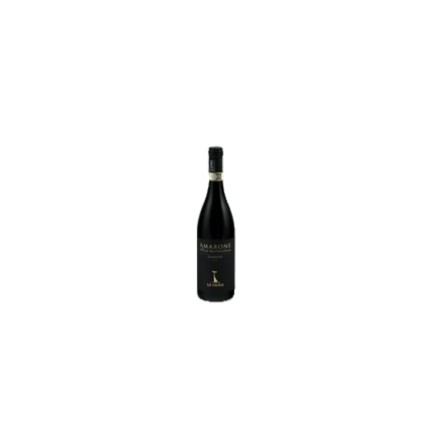 Amarone della Valpolicella 2019