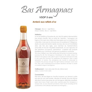 Armagnac Domaine de Joy VSOP