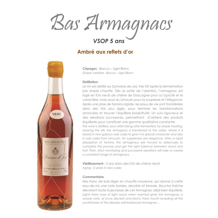 Armagnac Domaine de Joy VSOP