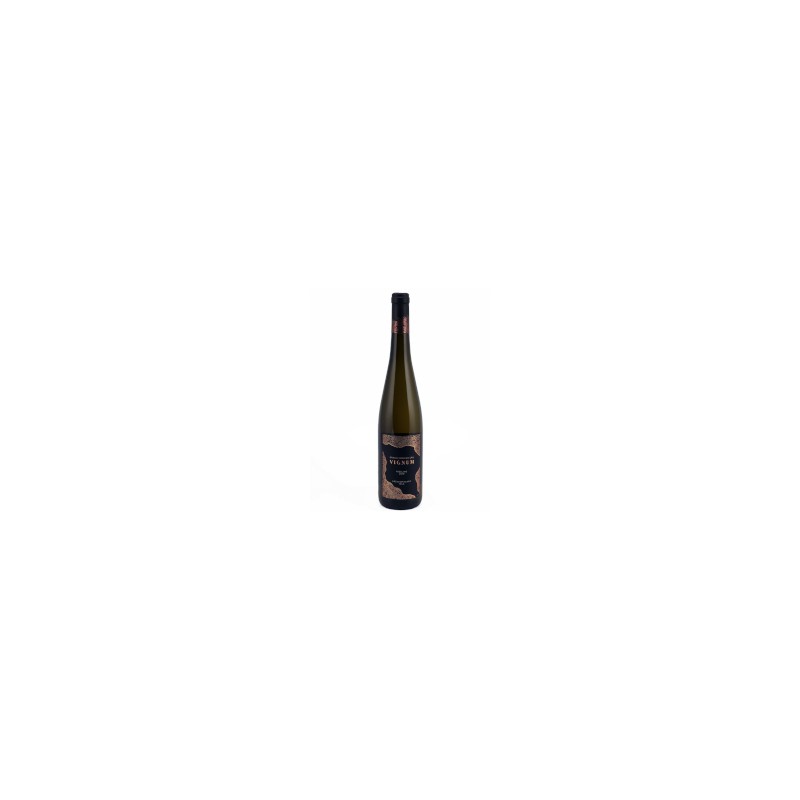 Riesling Vignum 2021