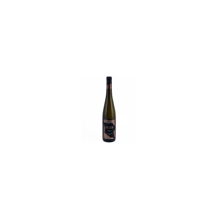 Riesling Vignum 2021