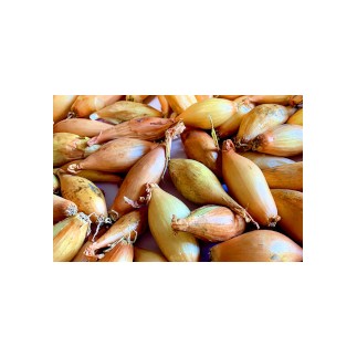 Steckzwiebeln birnenförmig 250 gr