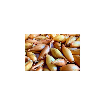 Steckzwiebeln birnenförmig 250 gr