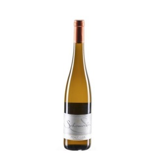 Pinot Gris Wormer Elterberg 2024