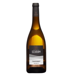 Chardonnay 2024 Bech-Maacher
