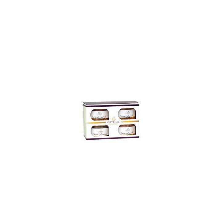 Coffret 4 x 100 g terrines composé