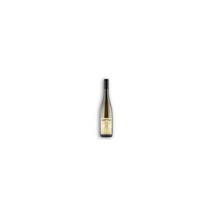 Riesling Ahn Palmberg 2023