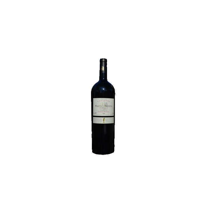 Ganymède Aoc Cru Boutenac 2009
