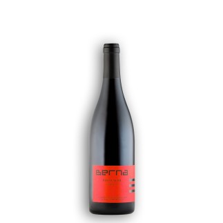 Pinot Noir Grande Réserve 2020