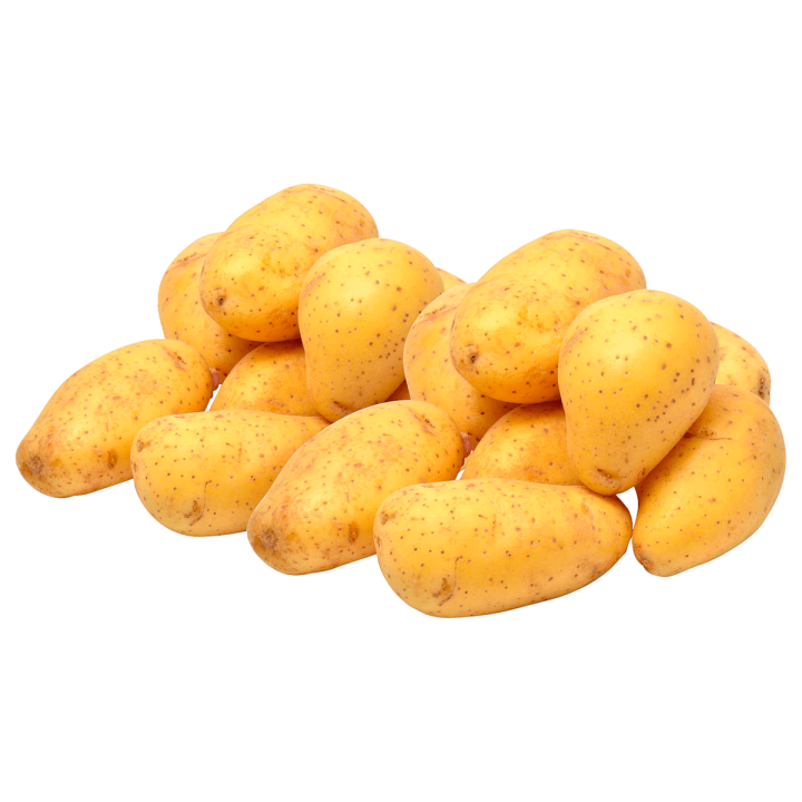 Venezia 2,5 kg Kartoffeln