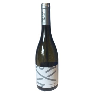 Sauvignon Blanc 2024