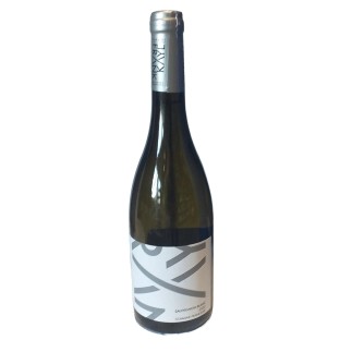 Sauvignon Blanc 2024