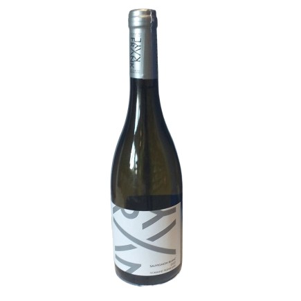 Sauvignon Blanc 2024