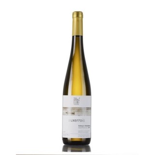 Auxerrois Schengen Markusberg 2023