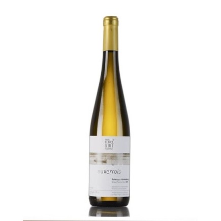 Auxerrois Schengen Markusberg 2023