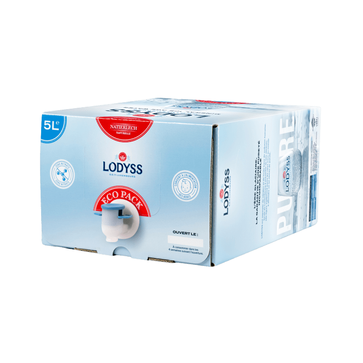 Lodyss Plate Bib 5 lit