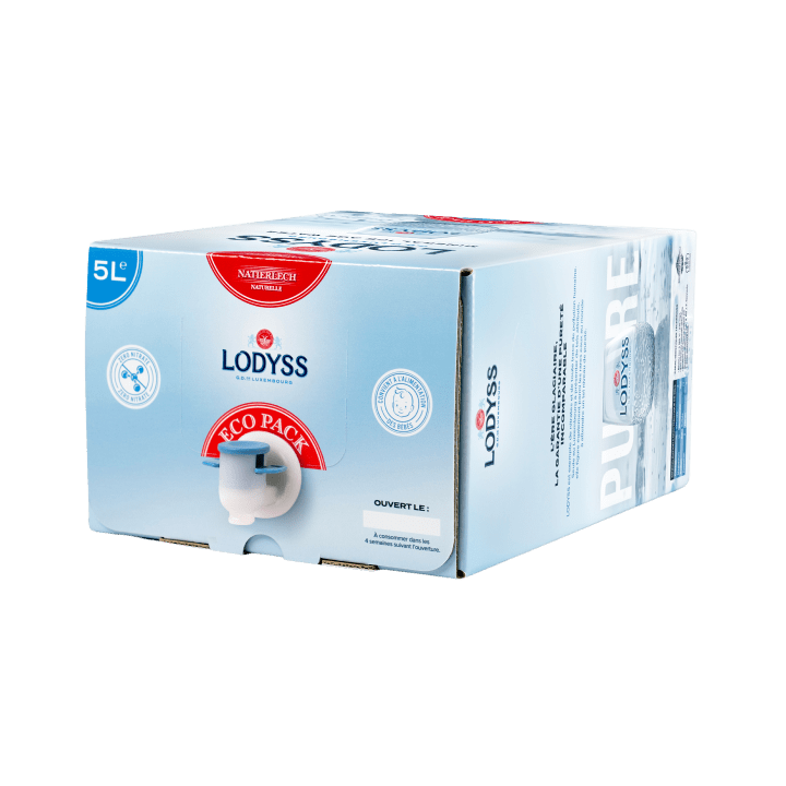 Lodyss Plate Bib 5 lit