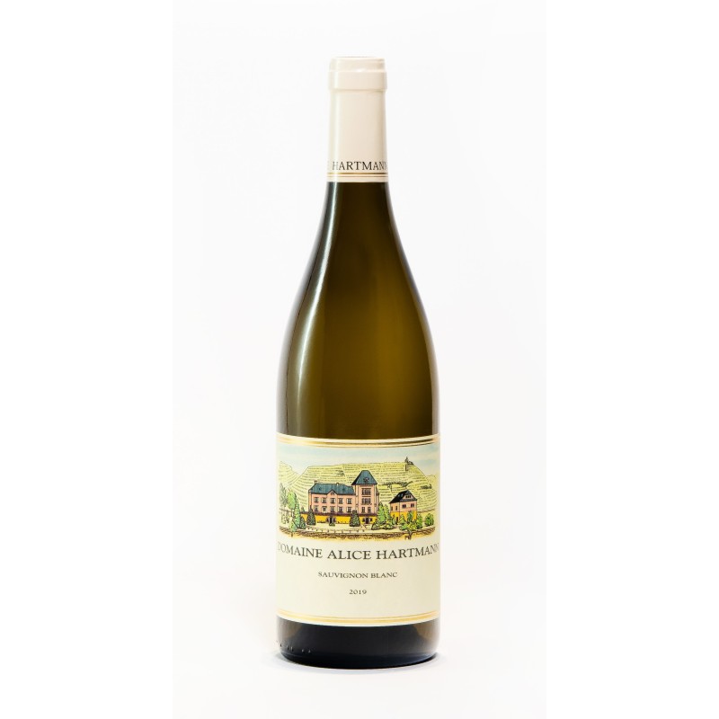 Sauvignon Alice Hartmann 2022