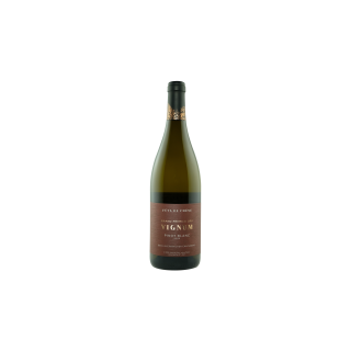 Pinot Blanc Fût de Chêne 2023
