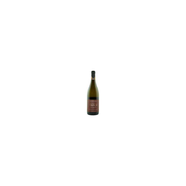 Pinot Blanc Fût de Chêne 2023