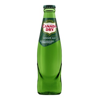 Canada Dry 24 x 0.20 lit