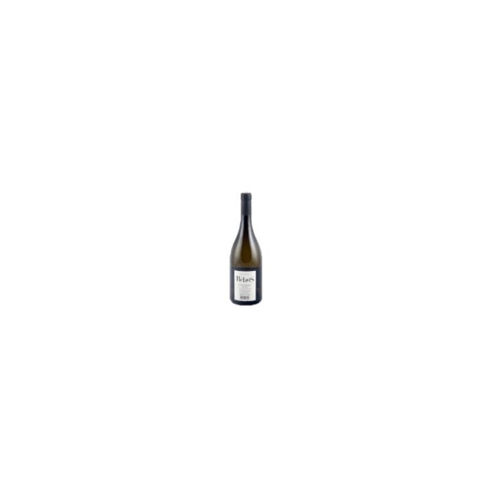 Chardonnay Rébus IGP Pays de Bessan 2024