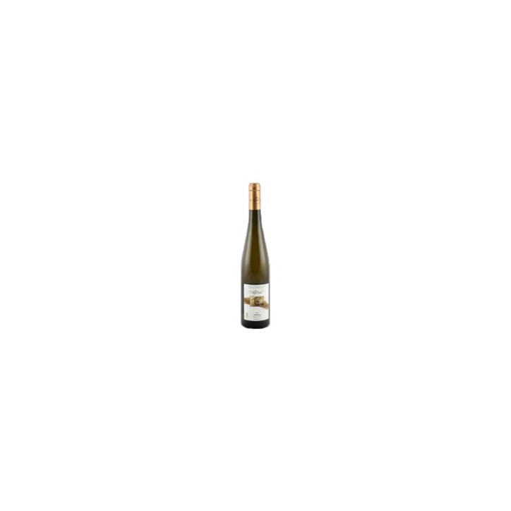 Riesling Puits d'Or 2023