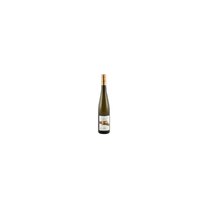 Riesling Puits d'Or 2023