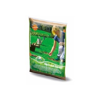 Grassamen Nachsaat 1 kg