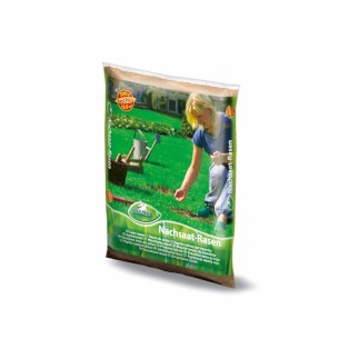 Grassamen Nachsaat 1 kg