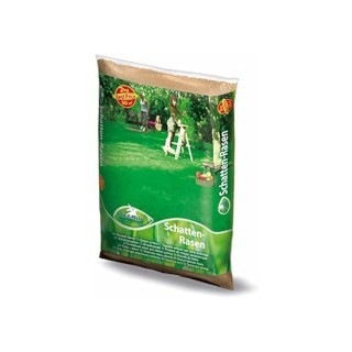 Grassamen Schattenrasen 2 kg
