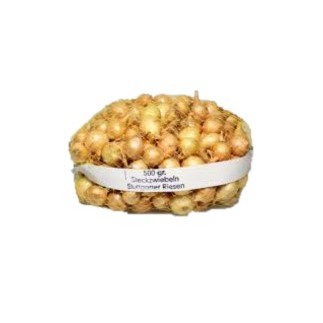 Steckzwiebeln Stuttgarter Riesen 500 gr