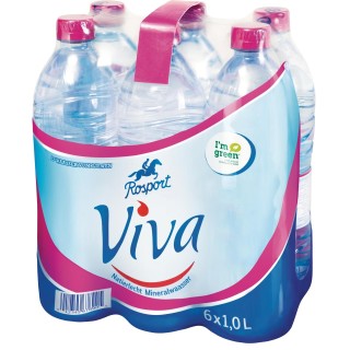 Viva 6 x 1 Lit. PET