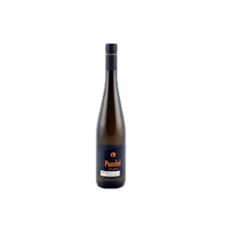 Riesling Wormer Elterberg 2021