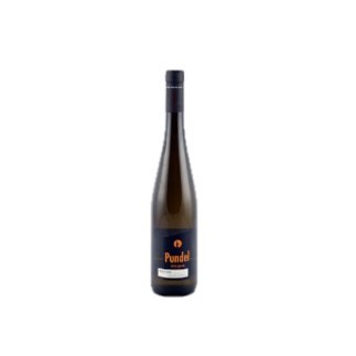 Riesling Wormer Elterberg 2021