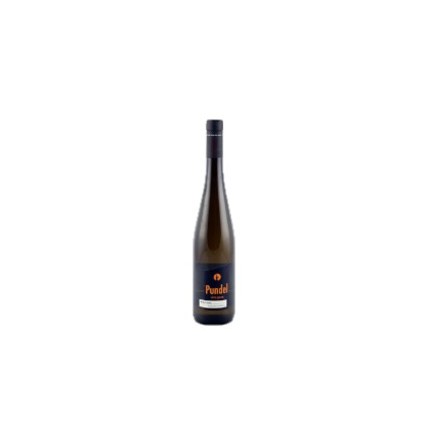 Riesling Wormer Elterberg 2021