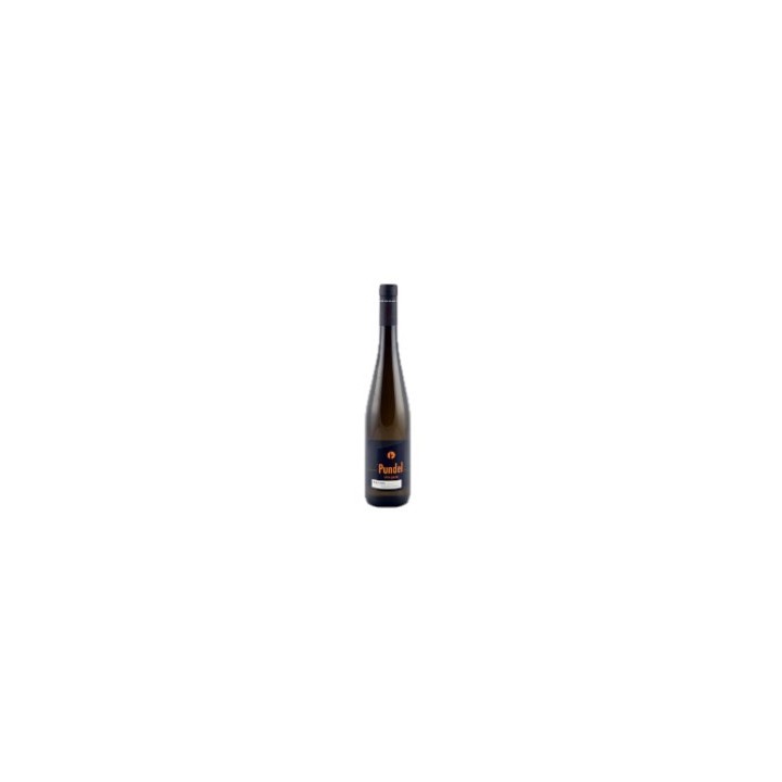 Riesling Wormer Elterberg 2021