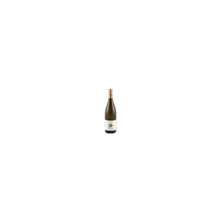 Pinot Blanc Barrique 2023