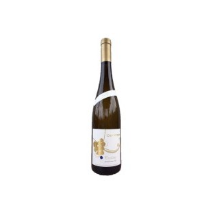 Riesling Fels Signature 2021