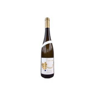 Riesling Fels Signature 2021