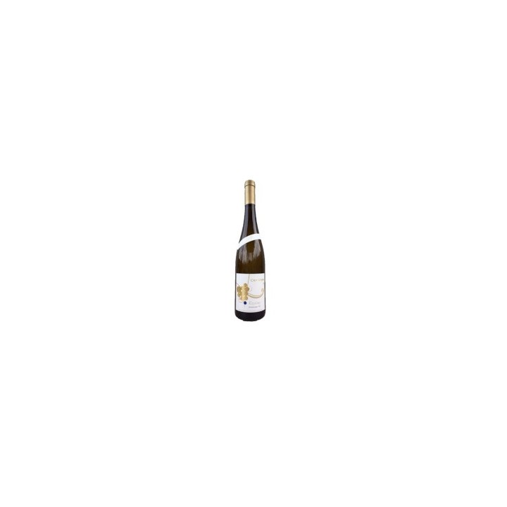 Riesling Fels Signature 2021