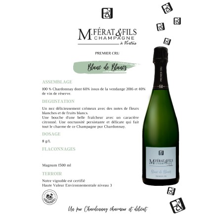 Champagne Brut Blanc de Blancs
